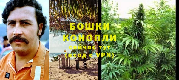 дмт Костерёво