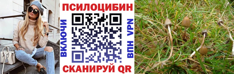 Галлюциногенные грибы GOLDEN TEACHER  даркнет наркотические препараты  Харабали 